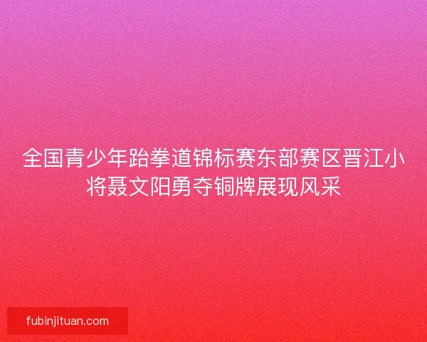 全国青少年跆拳道锦标赛东部赛区晋江小将聂文阳勇夺铜牌展现风采